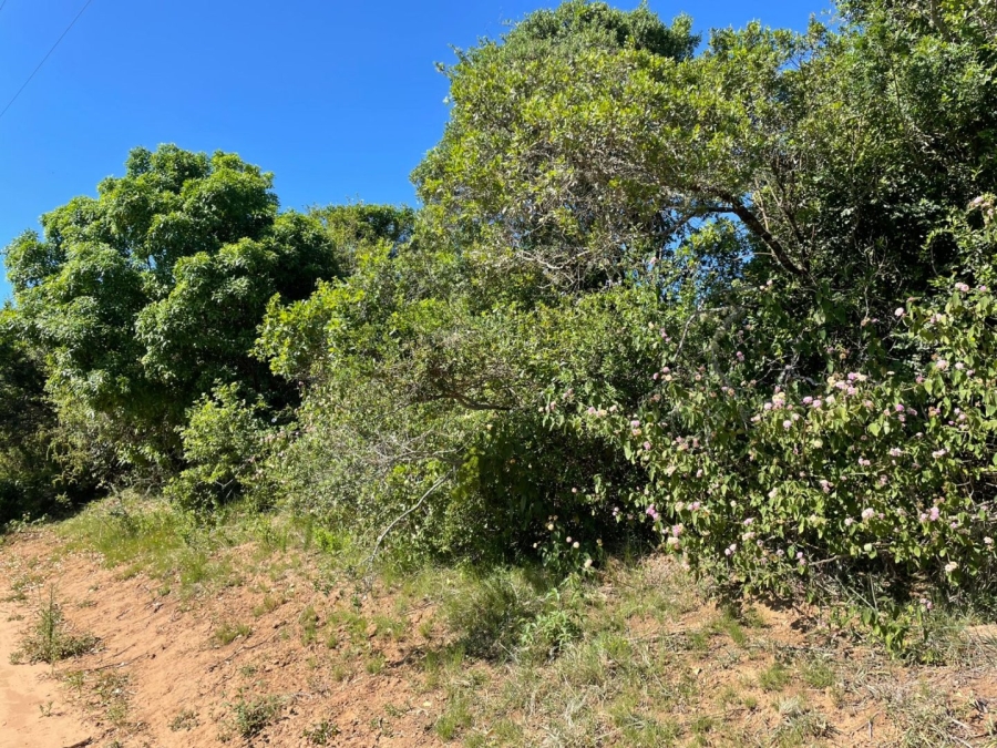 0 Bedroom Property for Sale in Bathurst Eastern Cape